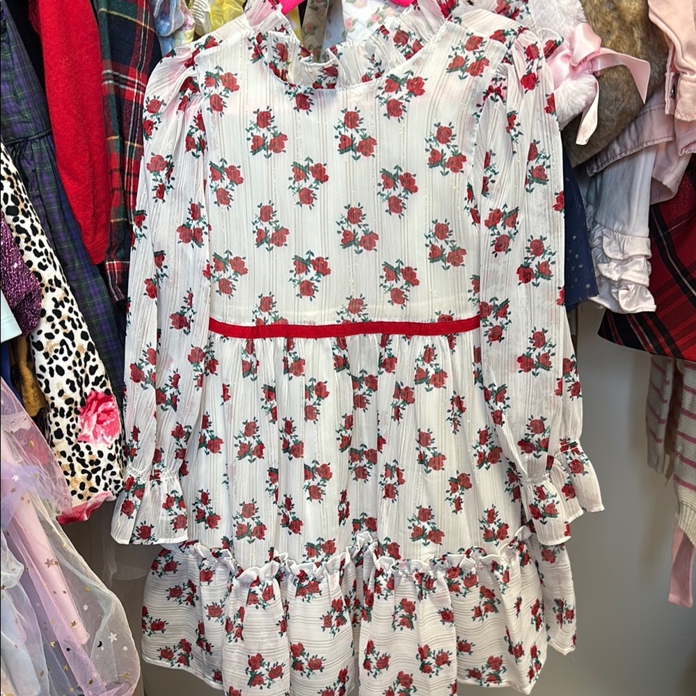 Floral Kids Dress with Red Accents Janie and jack